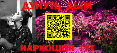гидра Дубна