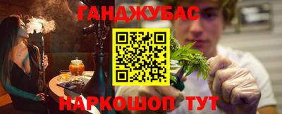 дмт Аргун