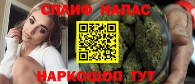 дмт Аргун