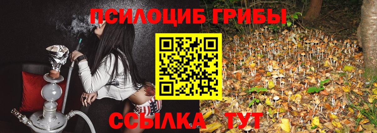 Бугульма  Галлюциногенные грибы Psilocybe  Вход с VPN 